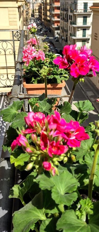 Central Apartment A Due Passi Dal Porto 팔레르모 외부 사진